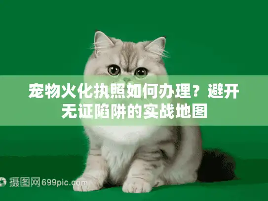 宠物火化执照如何办理?避开无证陷阱的实战地图 宠物火化执照如何办理?避开无证陷阱的实战地图