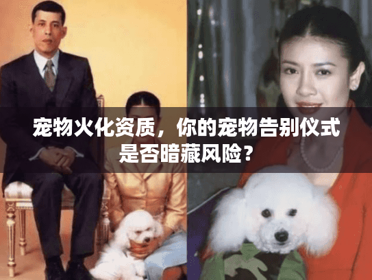 宠物火化资质，你的宠物告别仪式是否暗藏风险？