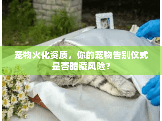 宠物火化资质，你的宠物告别仪式是否暗藏风险？