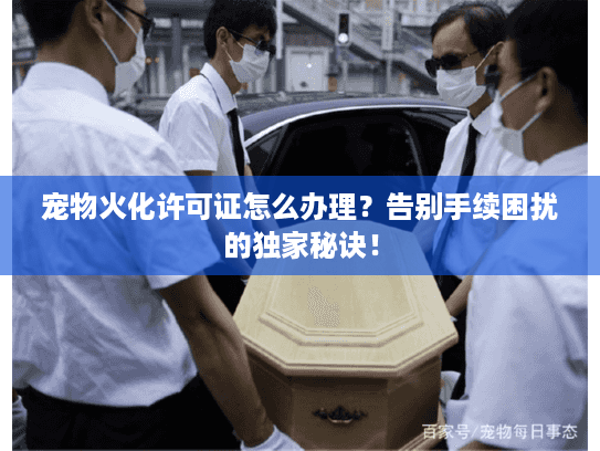 宠物火化许可证怎么办理？告别手续困扰的独家秘诀！