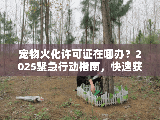 宠物火化许可证在哪办？2025紧急行动指南，快速获取合法凭证