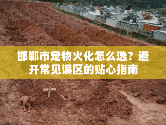 邯郸市宠物火化怎么选？避开常见误区的贴心指南