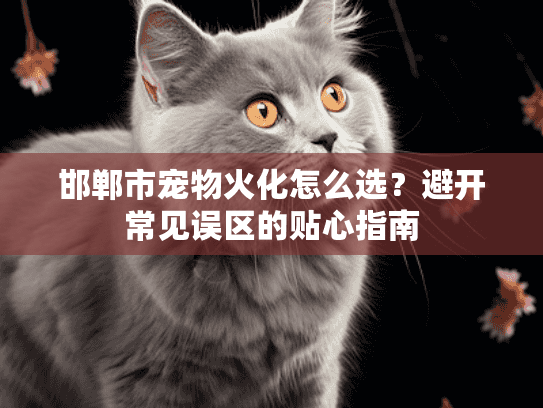 邯郸市宠物火化怎么选？避开常见误区的贴心指南