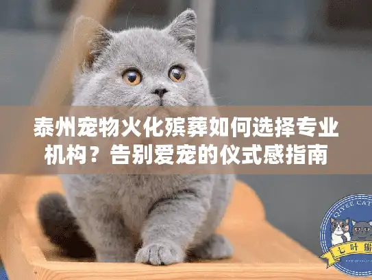 泰州宠物火化殡葬如何选择专业机构?告别爱宠的仪式感指南 泰州宠物火化殡葬如何选择专业机构?告别爱宠的仪式感指南