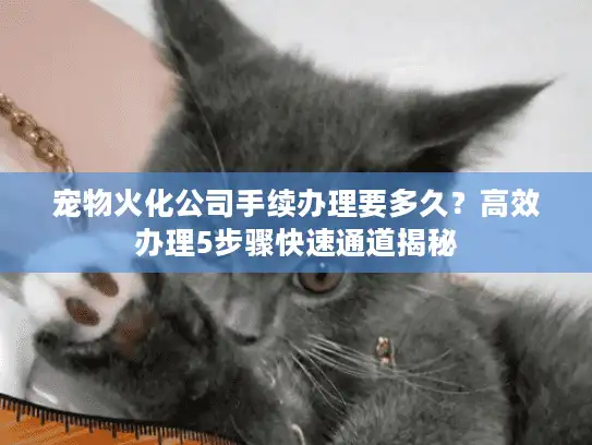 宠物火化公司手续办理要多久?高效办理5步骤快速通道揭秘 宠物火化公司手续办理要多久?高效办理5步骤快速通道揭秘