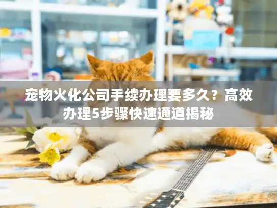 宠物火化公司手续办理要多久?高效办理5步骤快速通道揭秘 宠物火化公司手续办理要多久?高效办理5步骤快速通道揭秘