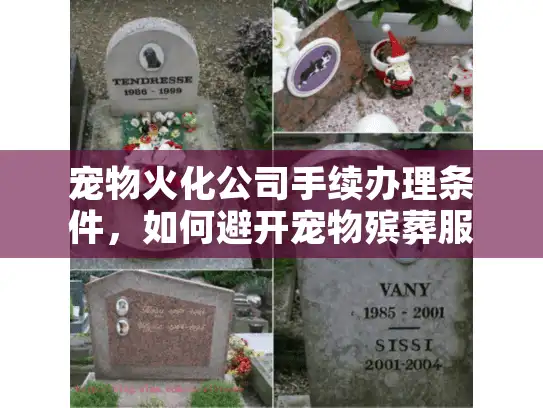 宠物火化公司手续办理条件,如何避开宠物殡葬服务坑点? 宠物火化公司手续办理条件,如何避开宠物殡葬服务坑点?