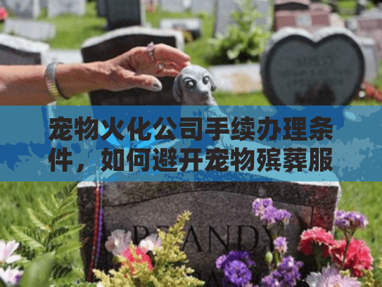 宠物火化公司手续办理条件,如何避开宠物殡葬服务坑点? 宠物火化公司手续办理条件,如何避开宠物殡葬服务坑点?