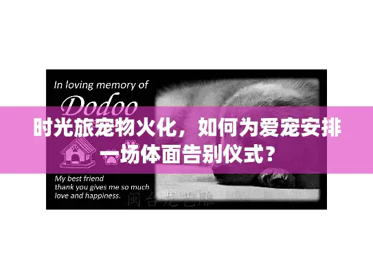 时光旅宠物火化，如何为爱宠安排一场体面告别仪式？