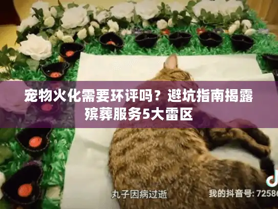 宠物火化需要环评吗？避坑指南揭露殡葬服务5大雷区