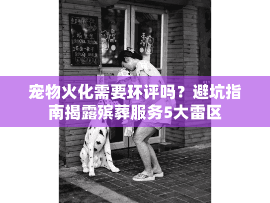 宠物火化需要环评吗？避坑指南揭露殡葬服务5大雷区