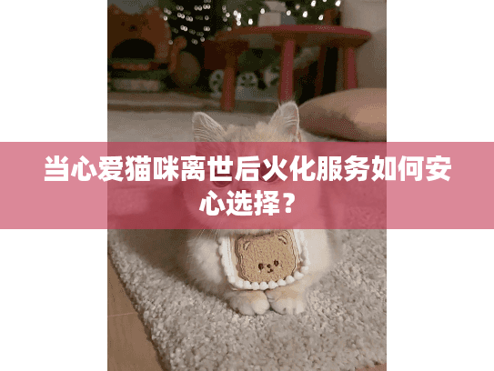 当心爱猫咪离世后火化服务如何安心选择？