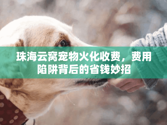 珠海云窝宠物火化收费,费用陷阱背后的省钱妙招 珠海云窝宠物火化收费,费用陷阱背后的省钱妙招