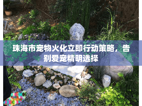 珠海市宠物火化立即行动策略,告别爱宠精明选择 珠海市宠物火化立即行动策略,告别爱宠精明选择