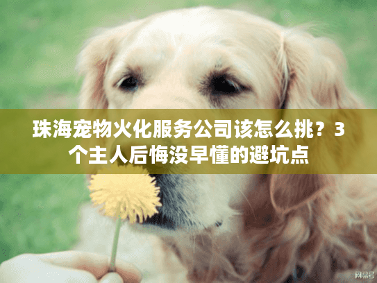 珠海宠物火化服务公司该怎么挑？3个主人后悔没早懂的避坑点