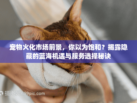 宠物火化市场前景，你以为饱和？揭露隐藏的蓝海机遇与服务选择秘诀