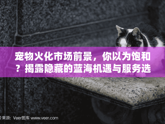 宠物火化市场前景，你以为饱和？揭露隐藏的蓝海机遇与服务选择秘诀