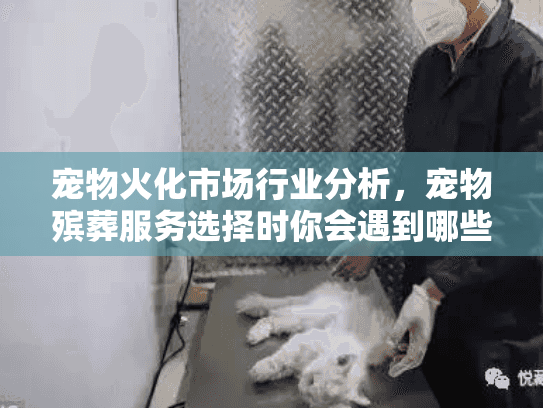 宠物火化市场行业分析，宠物殡葬服务选择时你会遇到哪些坑？