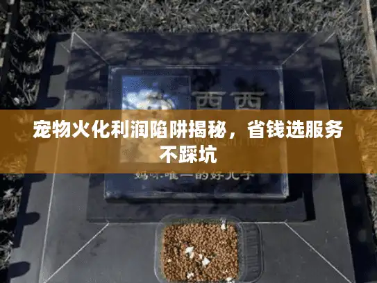 宠物火化利润陷阱揭秘,省钱选服务不踩坑 宠物火化利润陷阱揭秘,省钱选服务不踩坑