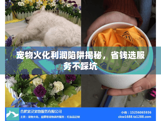 宠物火化利润陷阱揭秘,省钱选服务不踩坑 宠物火化利润陷阱揭秘,省钱选服务不踩坑