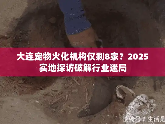 大连宠物火化机构仅剩8家？2025实地探访破解行业迷局