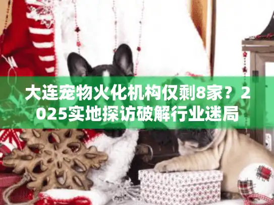 大连宠物火化机构仅剩8家？2025实地探访破解行业迷局