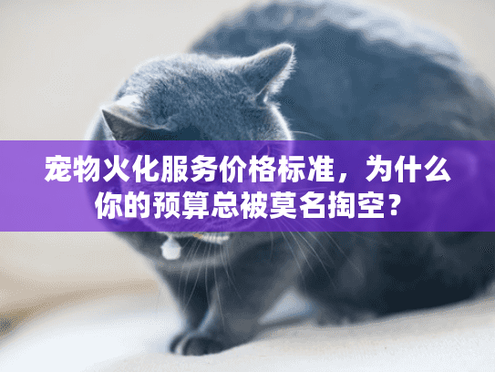 宠物火化服务价格标准，为什么你的预算总被莫名掏空？