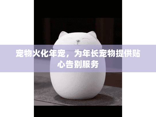 宠物火化年宠，为年长宠物提供贴心告别服务