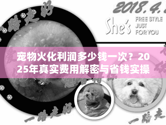 宠物火化利润多少钱一次？2025年真实费用解密与省钱实操