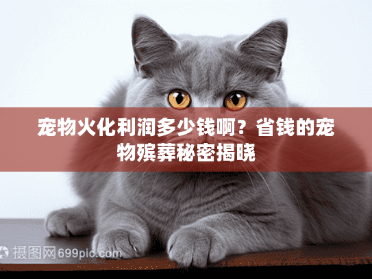 宠物火化利润多少钱啊?省钱的宠物殡葬秘密揭晓 宠物火化利润多少钱啊?省钱的宠物殡葬秘密揭晓