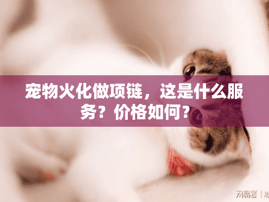 宠物火化做项链，这是什么服务？价格如何？