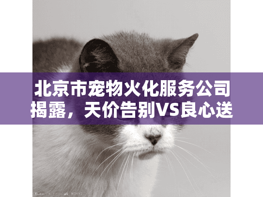 北京市宠物火化服务公司揭露，天价告别VS良心送别全实录