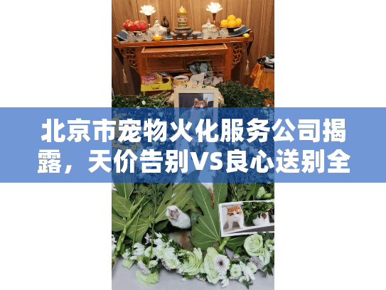 北京市宠物火化服务公司揭露，天价告别VS良心送别全实录