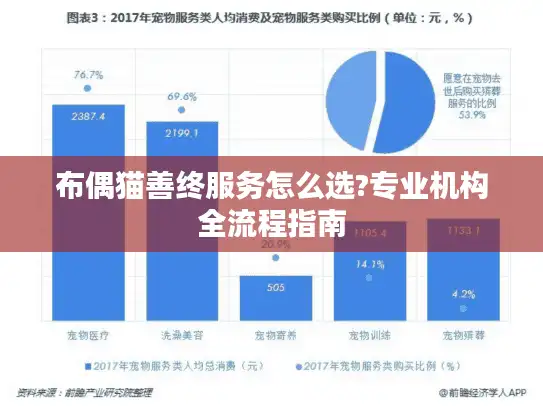 布偶猫善终服务怎么选?专业机构全流程指南