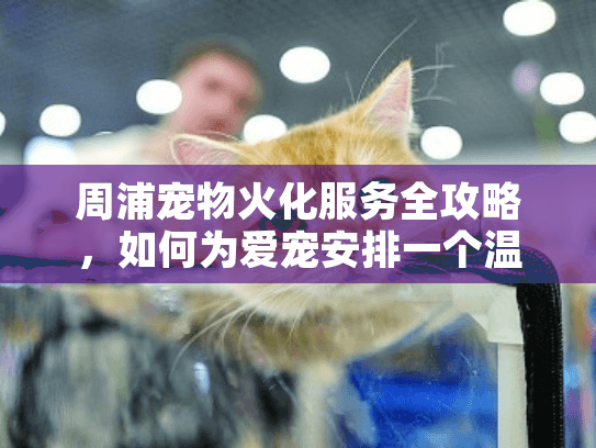 周浦宠物火化服务全攻略,如何为爱宠安排一个温馨的告别仪式? 周浦宠物火化服务全攻略,如何为爱宠安排一个温馨的告别仪式?