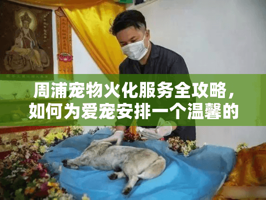周浦宠物火化服务全攻略,如何为爱宠安排一个温馨的告别仪式? 周浦宠物火化服务全攻略,如何为爱宠安排一个温馨的告别仪式?