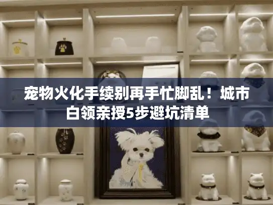 宠物火化手续别再手忙脚乱！城市白领亲授5步避坑清单