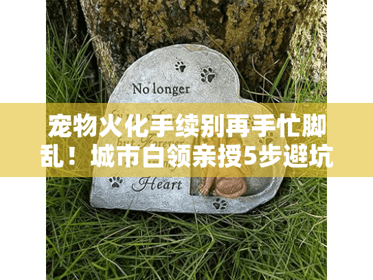 宠物火化手续别再手忙脚乱！城市白领亲授5步避坑清单