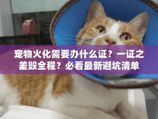 宠物火化需要办什么证？一证之差毁全程？必看最新避坑清单