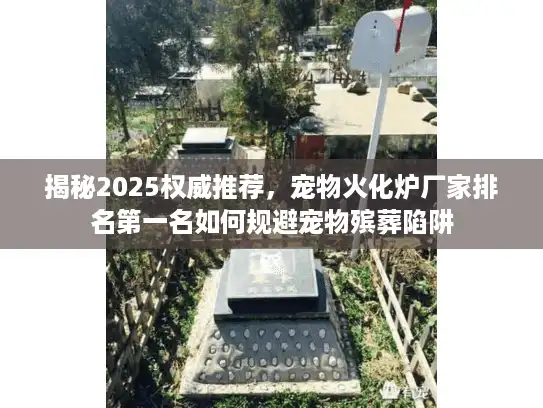 揭秘2025权威推荐，宠物火化炉厂家排名第一名如何规避宠物殡葬陷阱