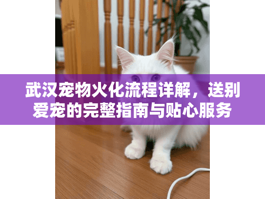 武汉宠物火化流程详解，送别爱宠的完整指南与贴心服务