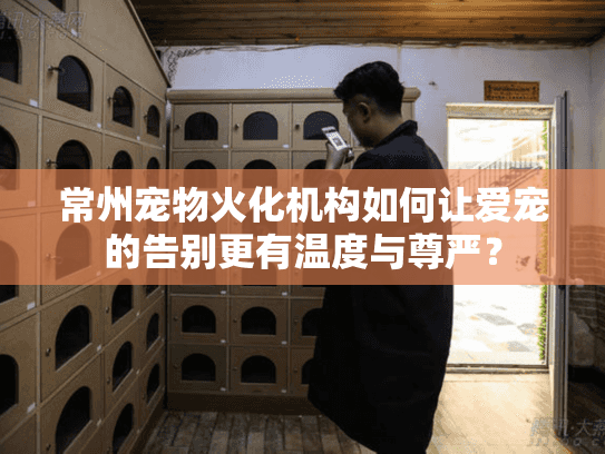 常州宠物火化机构如何让爱宠的告别更有温度与尊严？