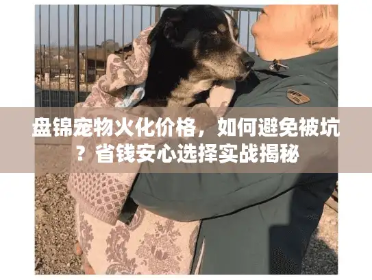 盘锦宠物火化价格，如何避免被坑？省钱安心选择实战揭秘