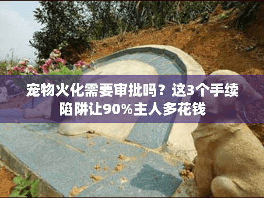 宠物火化需要审批吗？这3个手续陷阱让90%主人多花钱