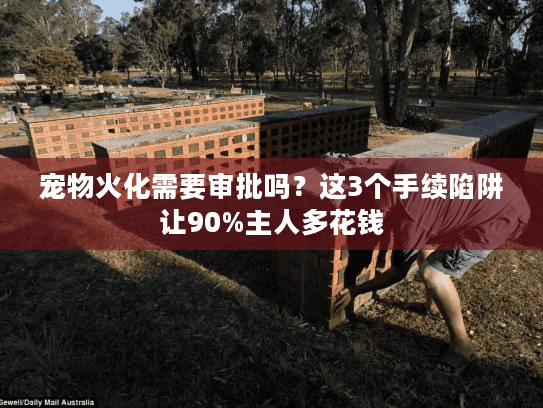 宠物火化需要审批吗？这3个手续陷阱让90%主人多花钱