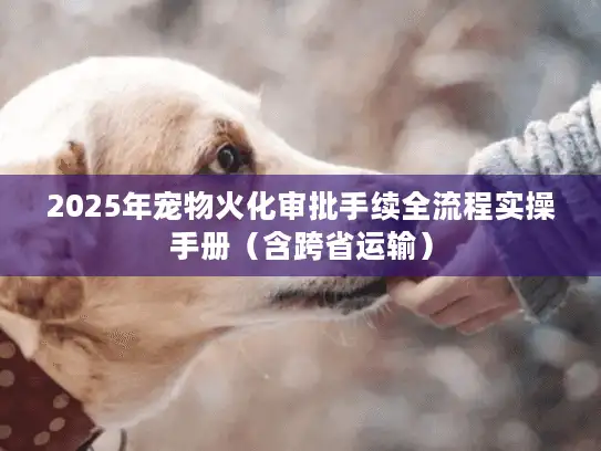 2025年宠物火化审批手续全流程实操手册（含跨省运输）