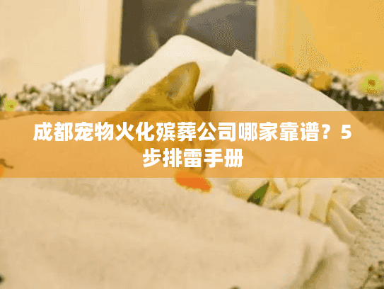 成都宠物火化殡葬公司哪家靠谱？5步排雷手册
