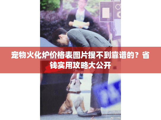 宠物火化炉价格表图片搜不到靠谱的？省钱实用攻略大公开