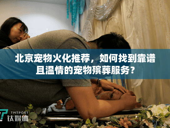 北京宠物火化推荐,如何找到靠谱且温情的宠物殡葬服务? 北京宠物火化推荐,如何找到靠谱且温情的宠物殡葬服务?