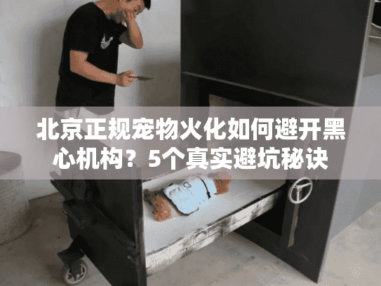 北京正规宠物火化如何避开黑心机构？5个真实避坑秘诀